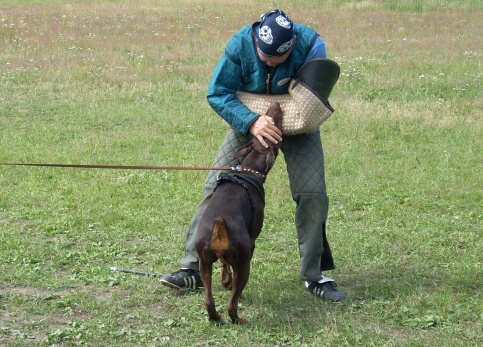 Training in Estonia 6/2007